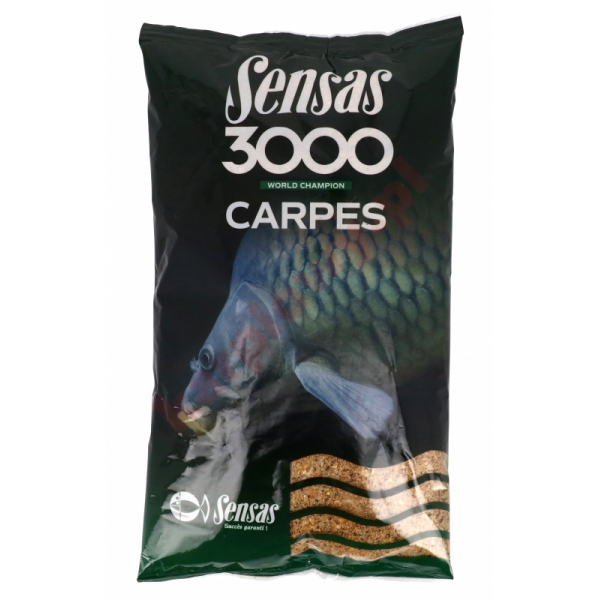 3000 zanęta carpes 1 kg