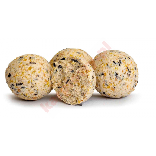 Kulki Euro Boilies 16mm/10kg Kokos