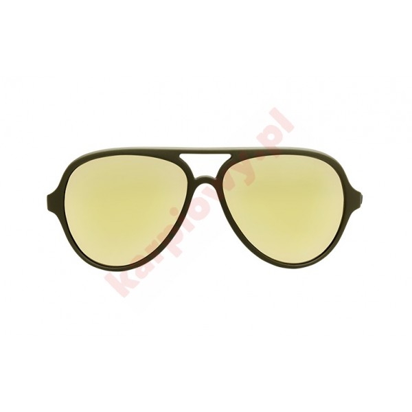 Navigator Polarized Sunglasses