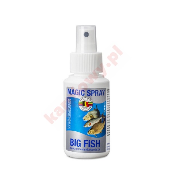 Magic spray big fish 100ml