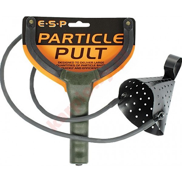Proca - particle pult