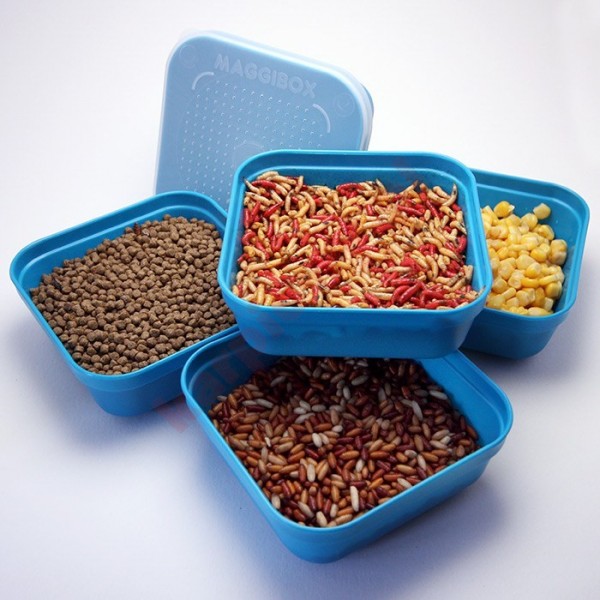 Pudełko - maggibox blue 0.62l	