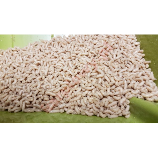 Robak biały 1kg